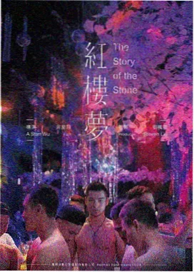 五朵金花 杨丽坤 少数民族爱情电影 海报